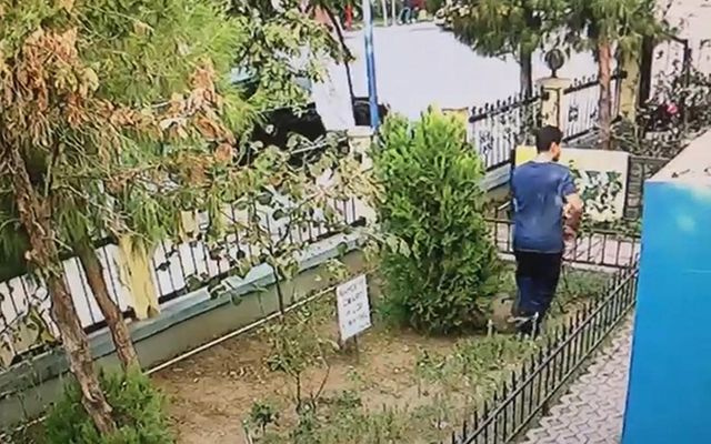 İzmir Karşıyaka'da bir kişi yavru kediyi tekmeleyerek öldürdü