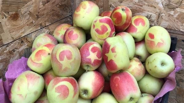 Kars'ın Kağızman ilçesinde ay-yıldızlı elma yetiştiriyor! Bu elmalardan başka yok