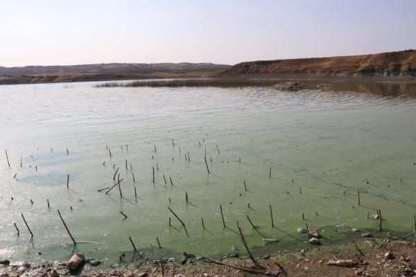 Adıyaman Atatürk Barajı Gölü'nde korkutan görüntü vatandaşlar uyarıldı