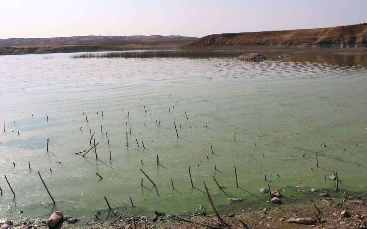 Adıyaman'da Atatürk Baraj Gölü'nün rengi yeşile döndü