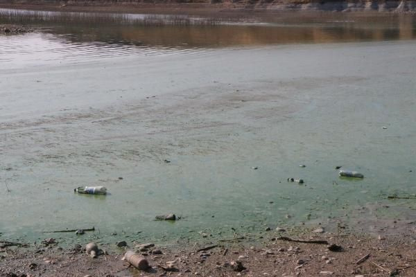 Adıyaman Atatürk Barajı Gölü'nde korkutan görüntü vatandaşlar uyarıldı