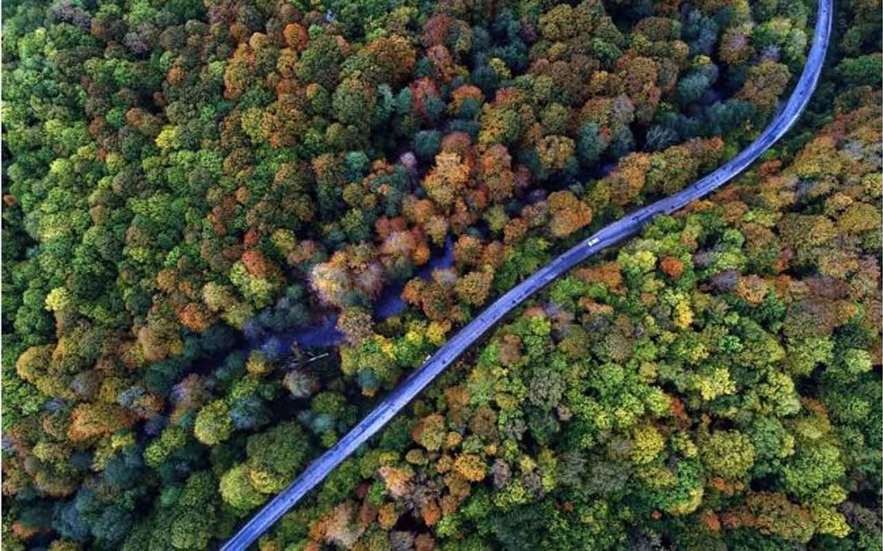 İstanbul ormanları sonbaharın renklerine büründü
