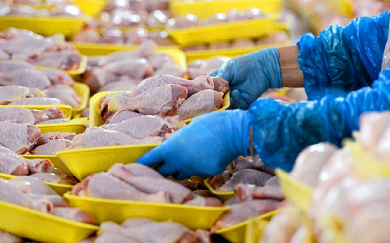 Tavuk eti üretimi yıllık yüzde 2,1 azaldı