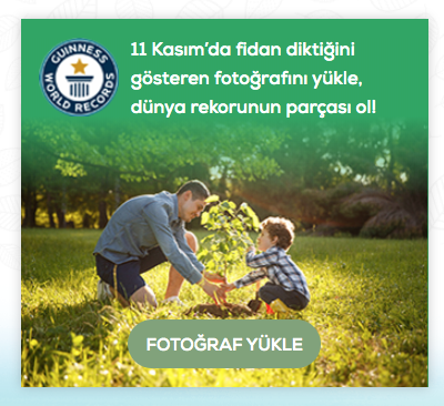 fidan dikimi fotograf albumune girin