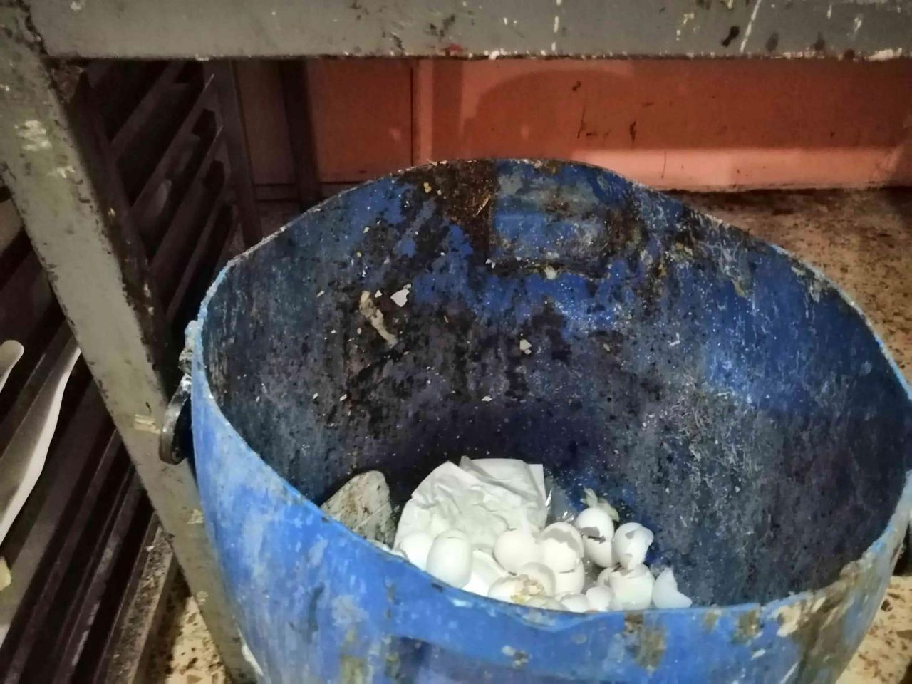 İzmir Buca'da kaçak tatlı imalathanesinde mide bulandıran görüntüler