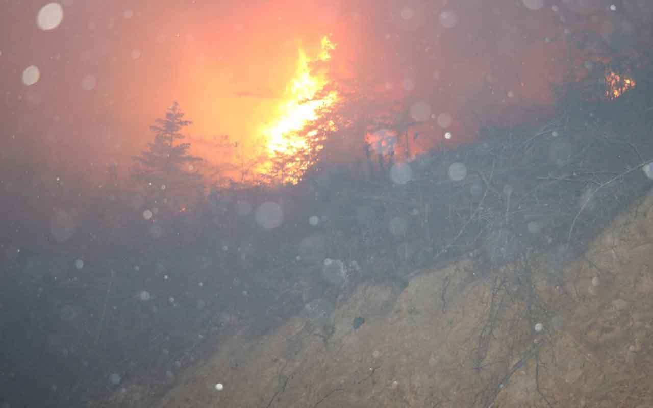 Hatay Arsuz'daki orman yangını kontrol altına alındı