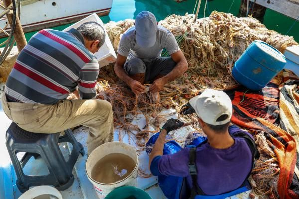 Akdeniz'i istila etti tenekeyi dahi yiyor! Balıkçılar çözüm bekliyor