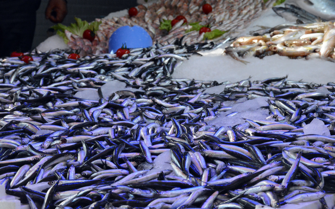 İstanbul Boğazı ve Karadeniz'deki hamsi avı yasağı 7 Şubat'a kadar uzatıldı