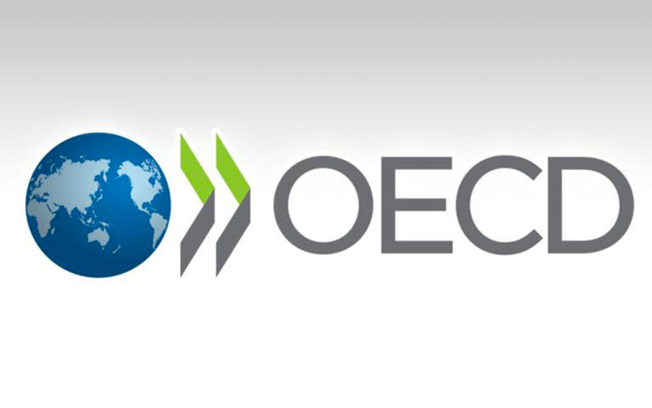 OECD'den Türkiye ekonomisi için güzel haber! Büyüme tahmini revize etti