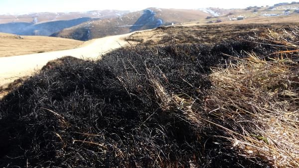 Trabzon'da 10 bin yıllık Ağaçbaşı Turba Bataklığı yakıldı küle döndü