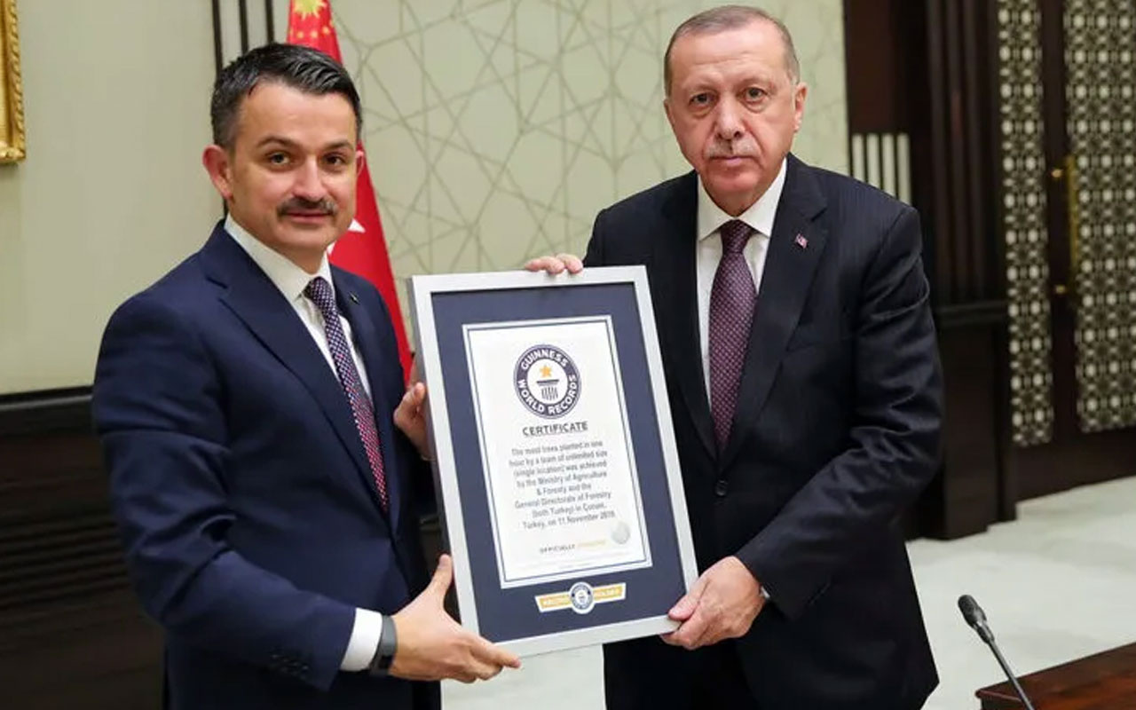 Belge Erdoğan'a verildi Türkiye 11 Kasım'da en fazla fidan dikme dünya rekoru kırdı