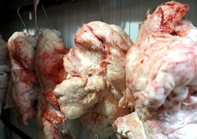 Canan Karatay yiyen 95 yaşına kadar yaşıyor dedi! Fiyatı yüzde 100 zamlandı