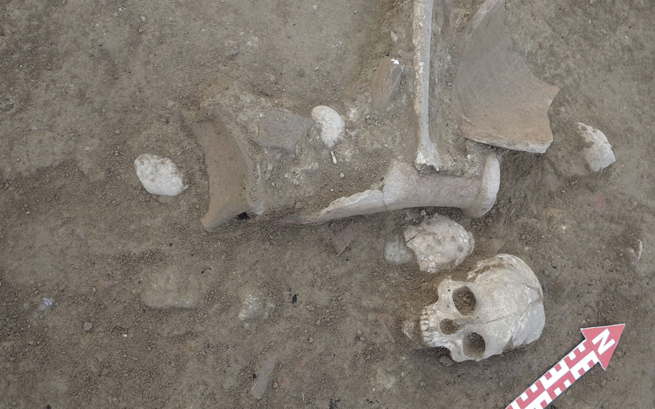 Çorum'da 3500 yıllık insan kafatası ve uyluk kemiği bulundu