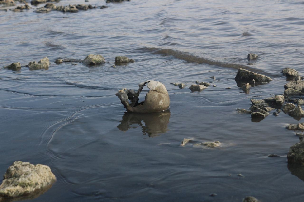 Van Gölü'nde sular çekildi korkunç manzara ortaya çıktı