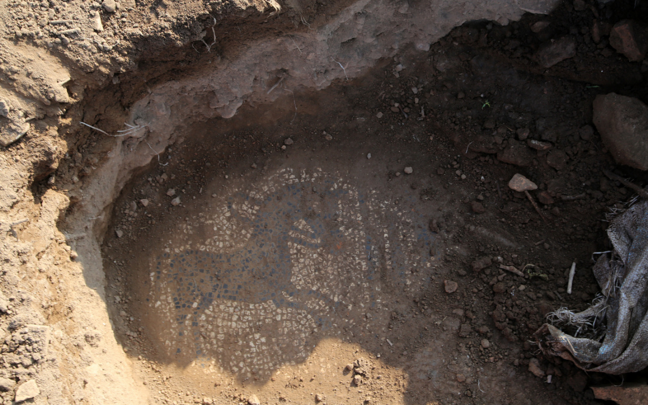 Roma dönemine ait mozaik buldular! 30 milyon dolara satmak isterken yakalandılar