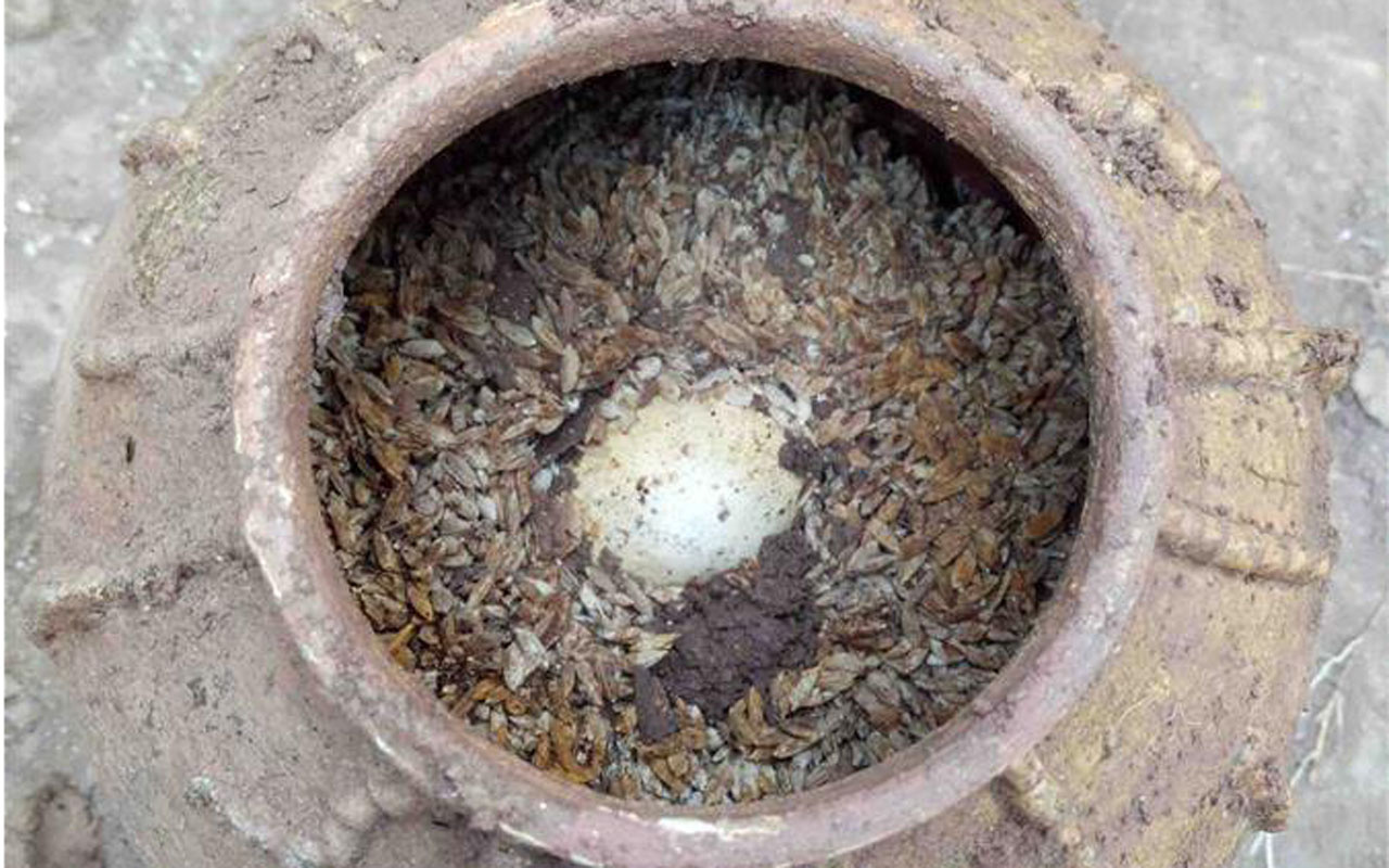 Çin'de 500 yıllık yumurtalar kırılmamış halde bulundu
