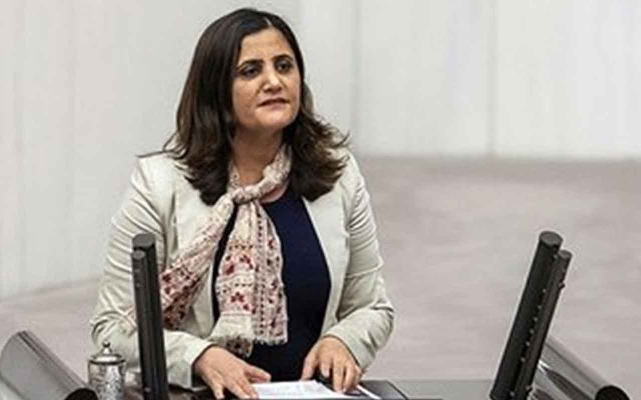 HDP'li vekil Dirayet Taşdemir'den skandal sözler! Teröriste masum köylü dedi