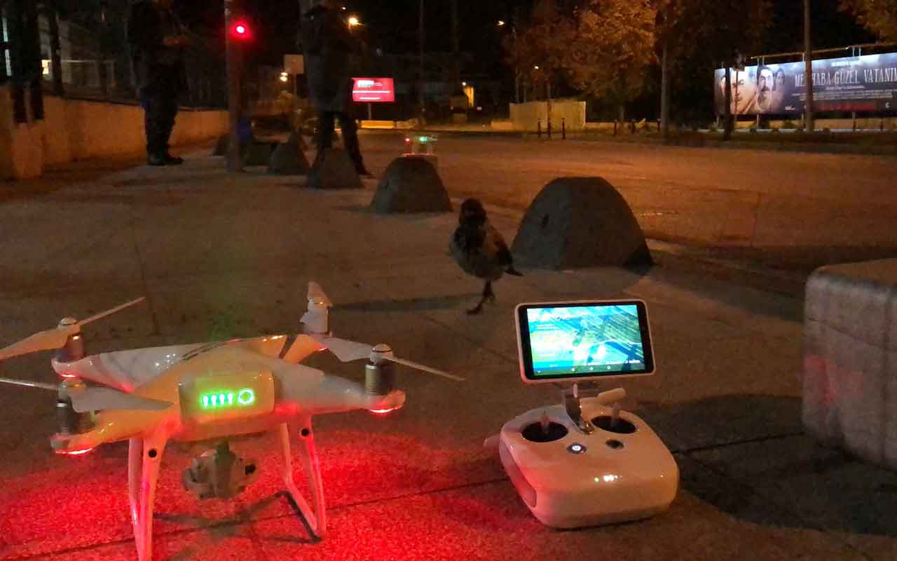 Kadıköy’de meraklı karganın drone şaşkınlığını izlemeye değer