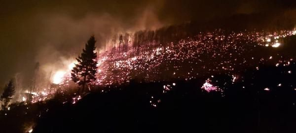 Trabzon'da 26 noktada orman yangını! Kriz masası kuruldu