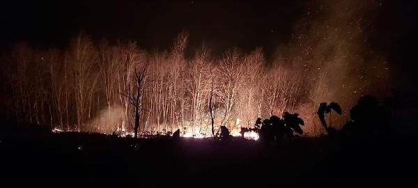 Trabzon'da 26 noktada orman yangını! Kriz masası kuruldu