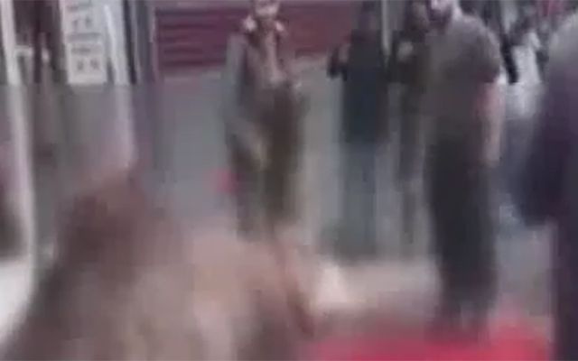 Şanlıurfa'da sokakta deve kesimi işkenceye döndü