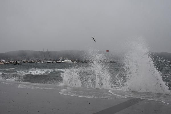 Şiddetli poyraz Marmara'da adaları vurdu! Fırtınada gemiden 6 konteyner denize uçtu