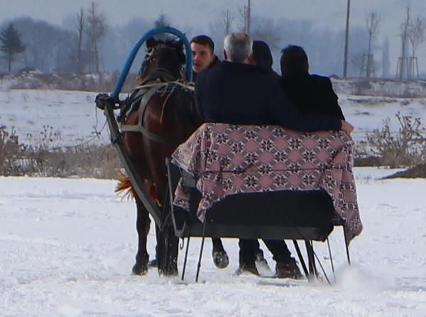 Erzurum'da belediye başkanı ve müdür bindikleri atlı kızağı durduramadı