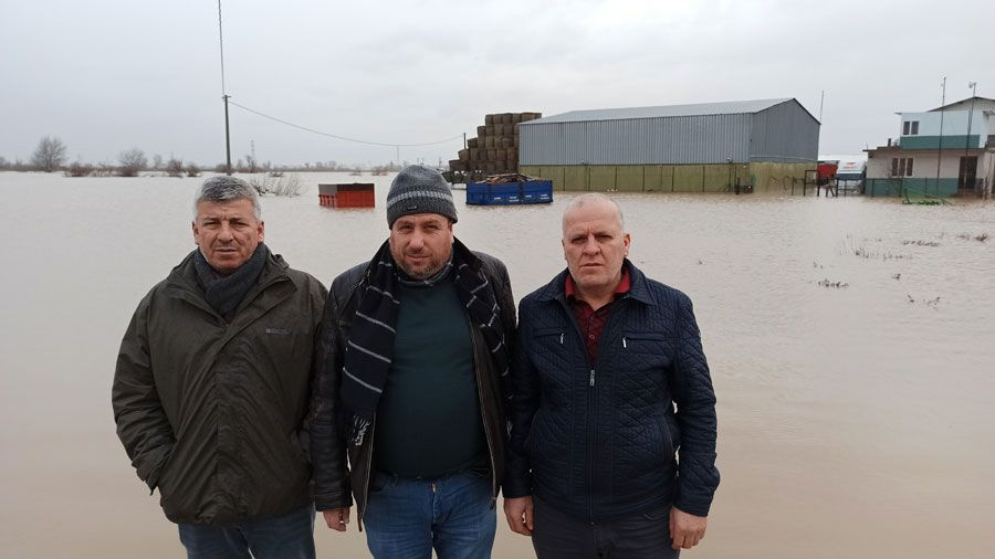 Hırsızlar sele sebep oldu Bursa'da binlerce dönüm ve 2 bin boğa suya battı