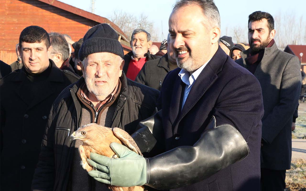 Bursa'da yaralı şahin özgürlüğüne uçtu