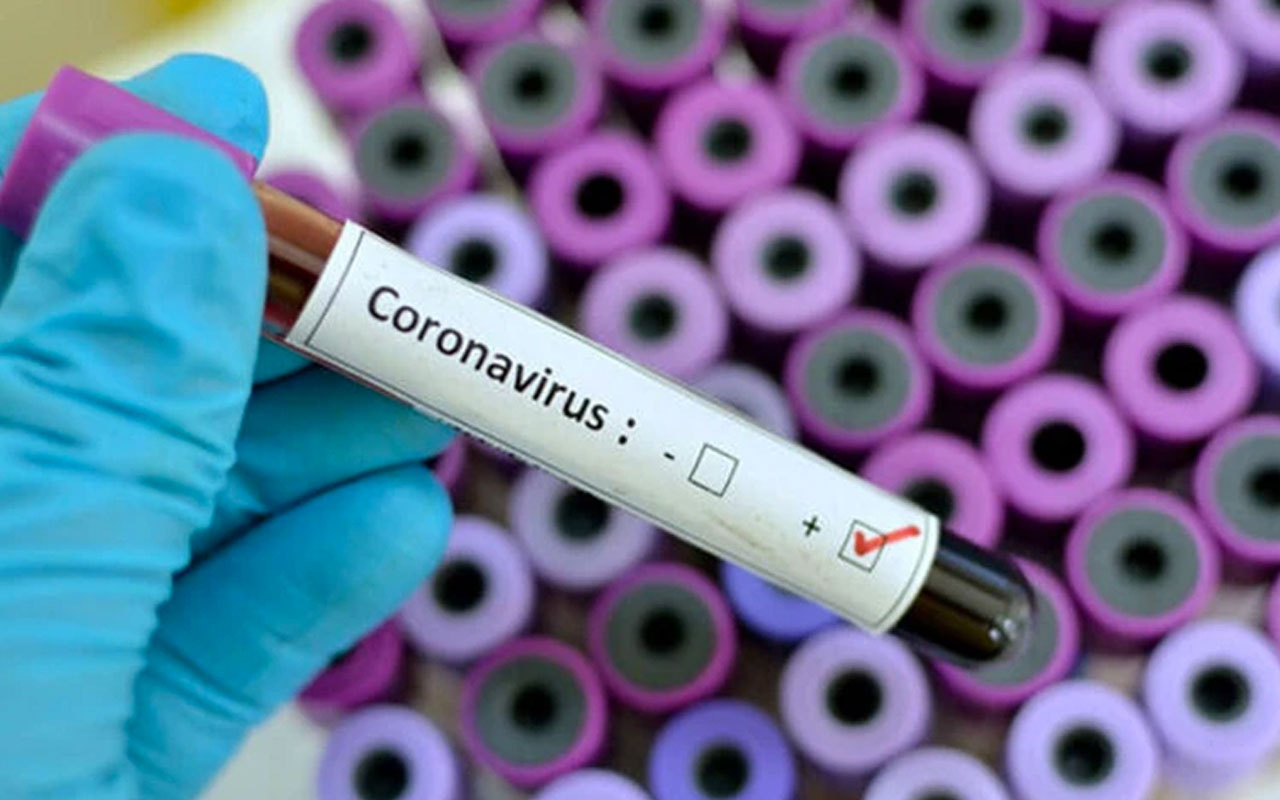 Çin Seddi'ne Corona virüsü alarmı: Ziyaret yasaklandı