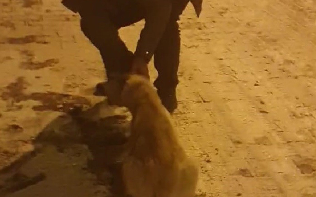 Köpeğin imdadına duyarlı vatandaş yetişti