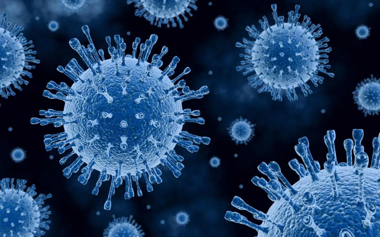 Genleri bilinenden yüzde 90 farklı virüs keşfedildi