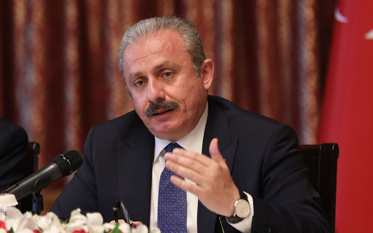 TBMM Başkanı Şentop'tan operasyon sözleri: Bundan sonra olacaklardan Türkiye sorumlu değil