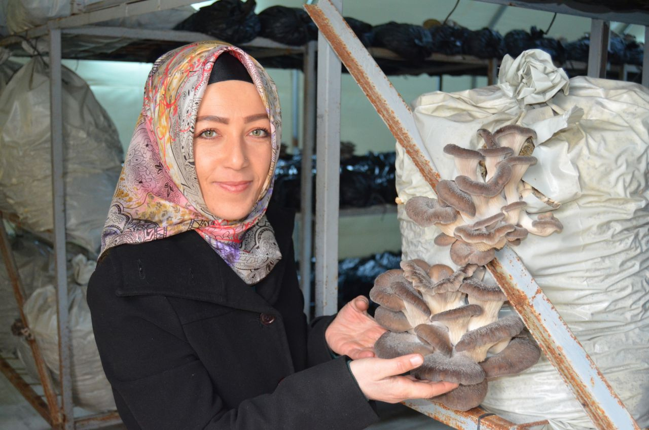 Aksaray'da köyüne döndü tesisi kurdu şimdi asgari ücretin üstünde para kazanıyor