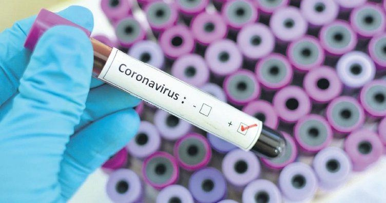 Coronavirüs aşısıyla ilgili önemli gelişme! Virüs bir kıtaya daha sıçradı