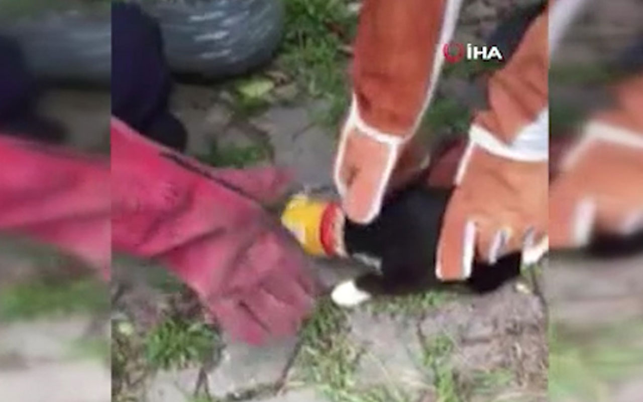 Yalova'da kafası konserve kutusuna sıkışan kediyi itfaiye kurtardı