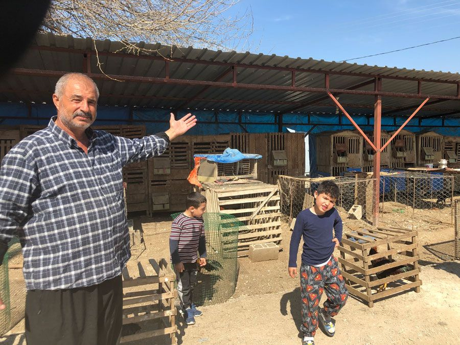 Çiftliğini Adana'da kurdu üniversiteli gelinleriyle ayda 30 bin lira kazanıyor