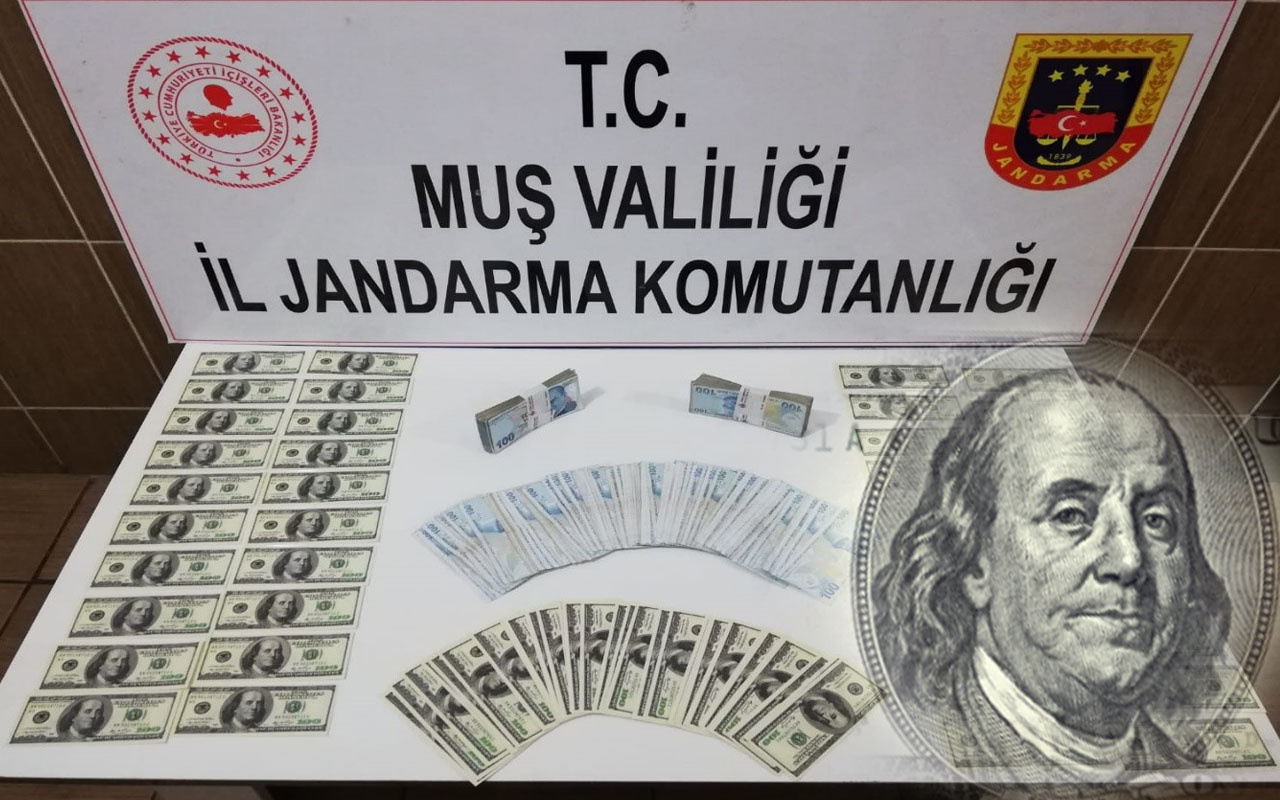 Muş'ta bastıkları sahte dolarlarla yakalandılar rakam dudak uçuklattı