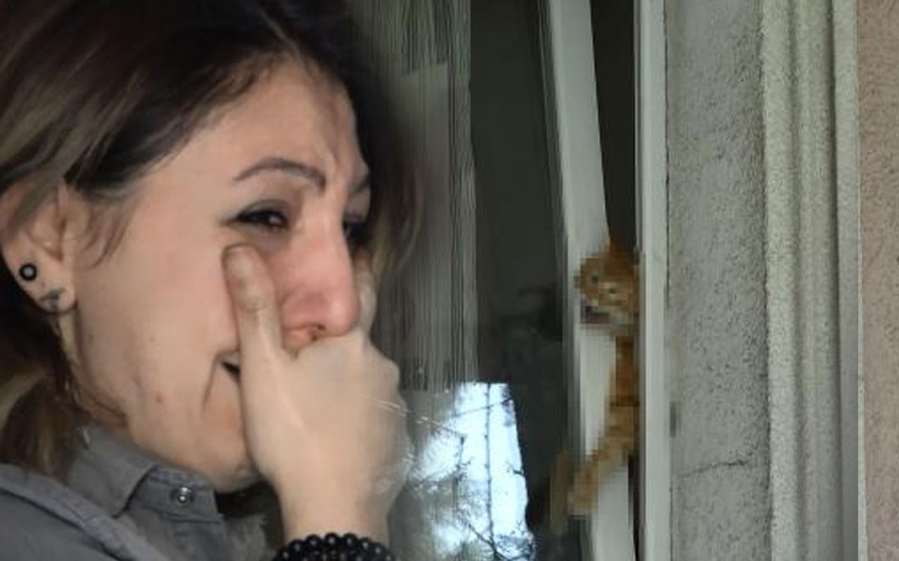 Sultangazi'de evde bıraktığı kedisi pencere arasına sıkıştı
