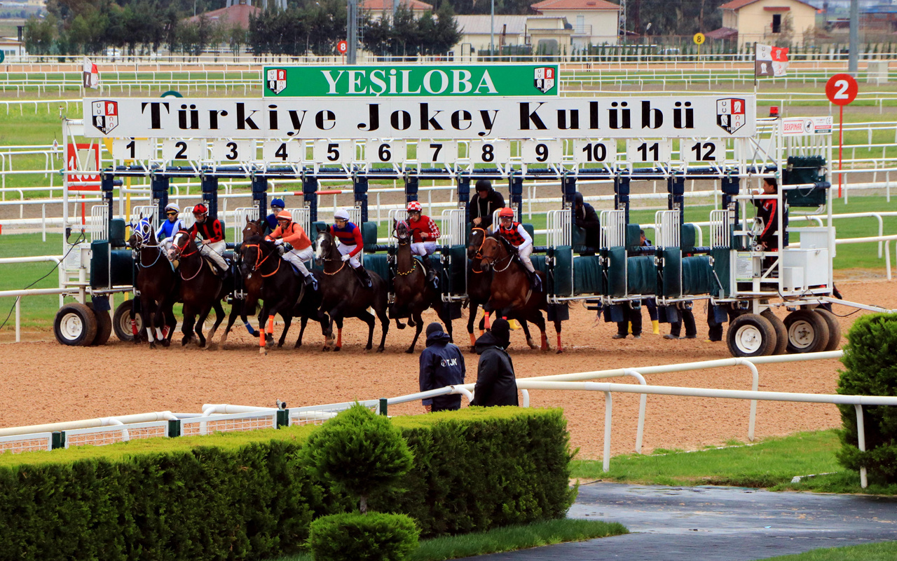 Adana'daki koşuda atın bacağı kırıldı jokey gözyaşlarına boğuldu