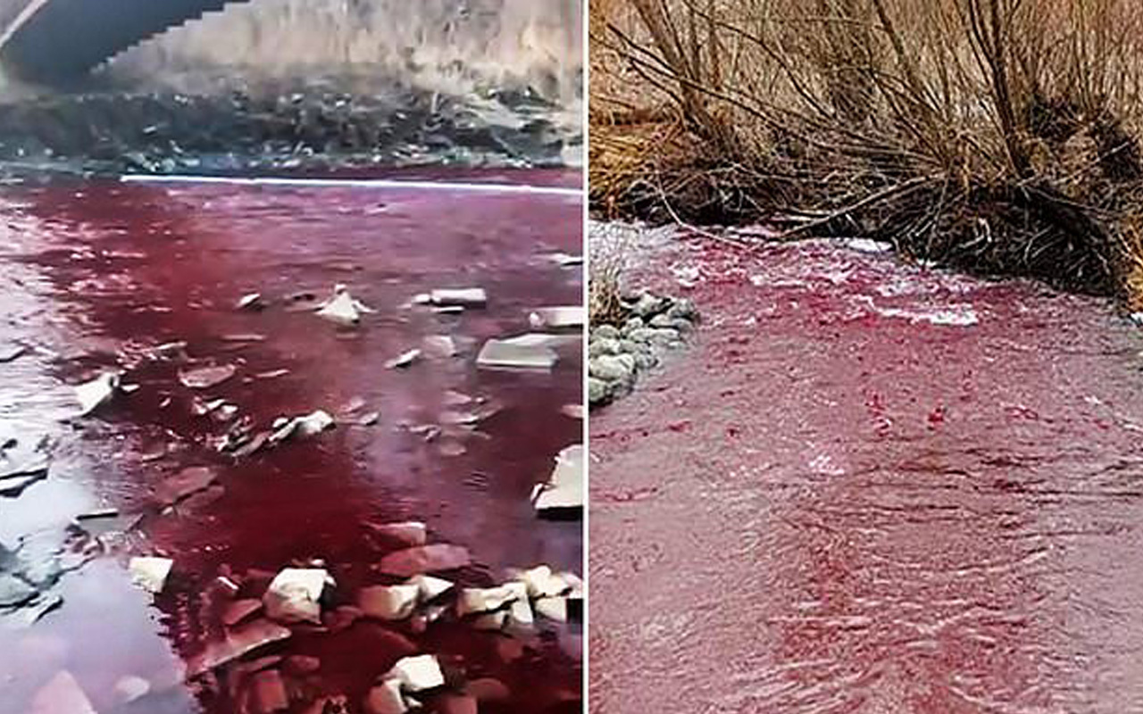 Kanada'da Mississauga kentindeki nehir kırmızıya büründü
