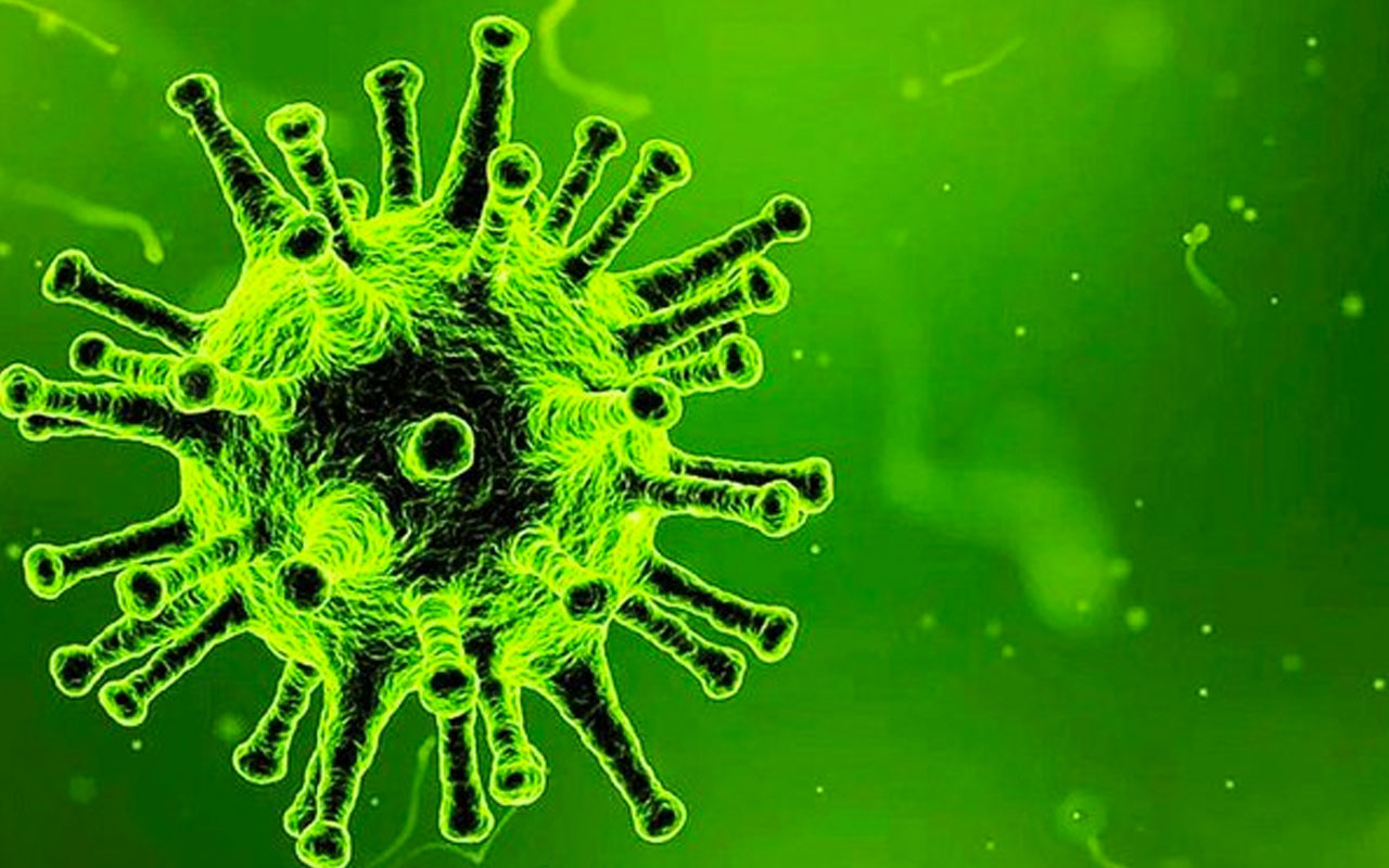 Koronavirüs kendine yeni yaşam alanı buldu Hollanda'da kanalizasyonda tespit edildi