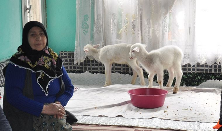 Emine Teyze kuzularına yem istedi, 112 ekipleri torun sanıp gıda kolisi götürdü