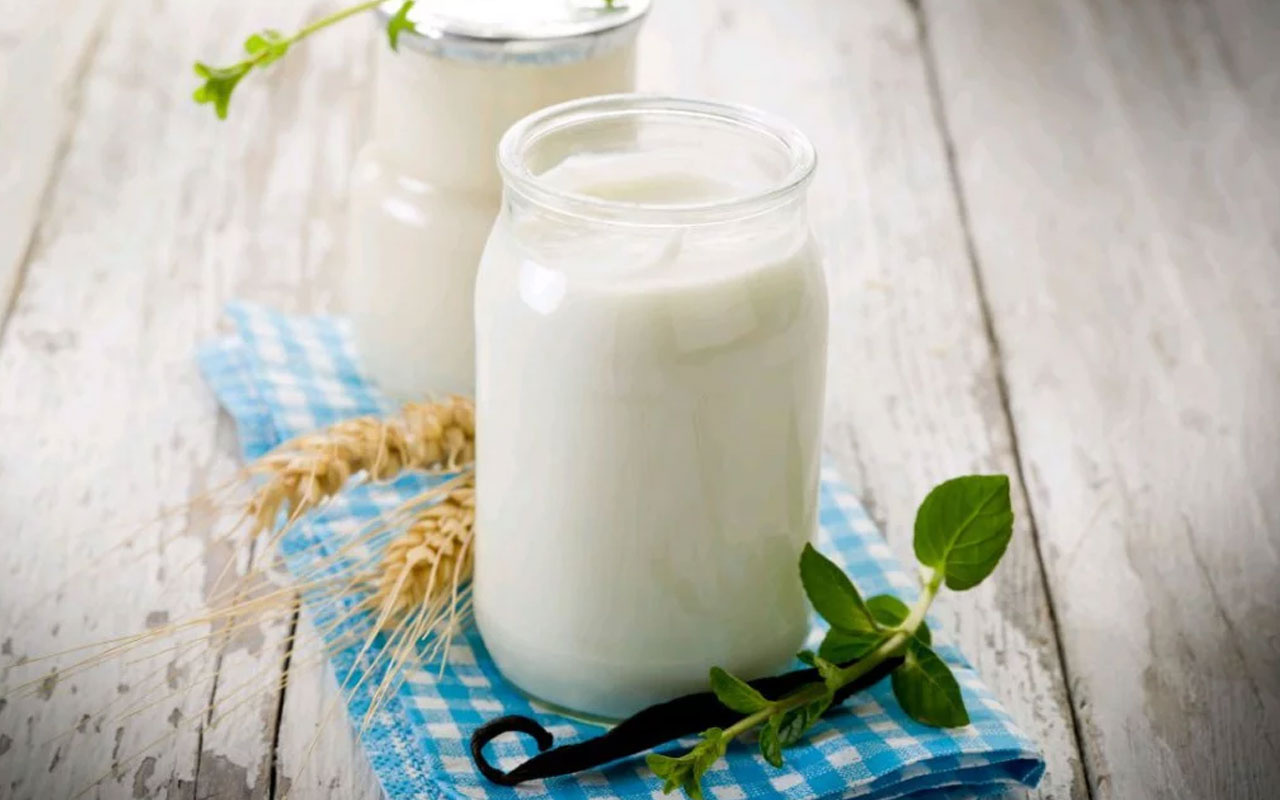 Kefir nasıl yapılır günde bir bardak için bağırsakları düzenliyor!