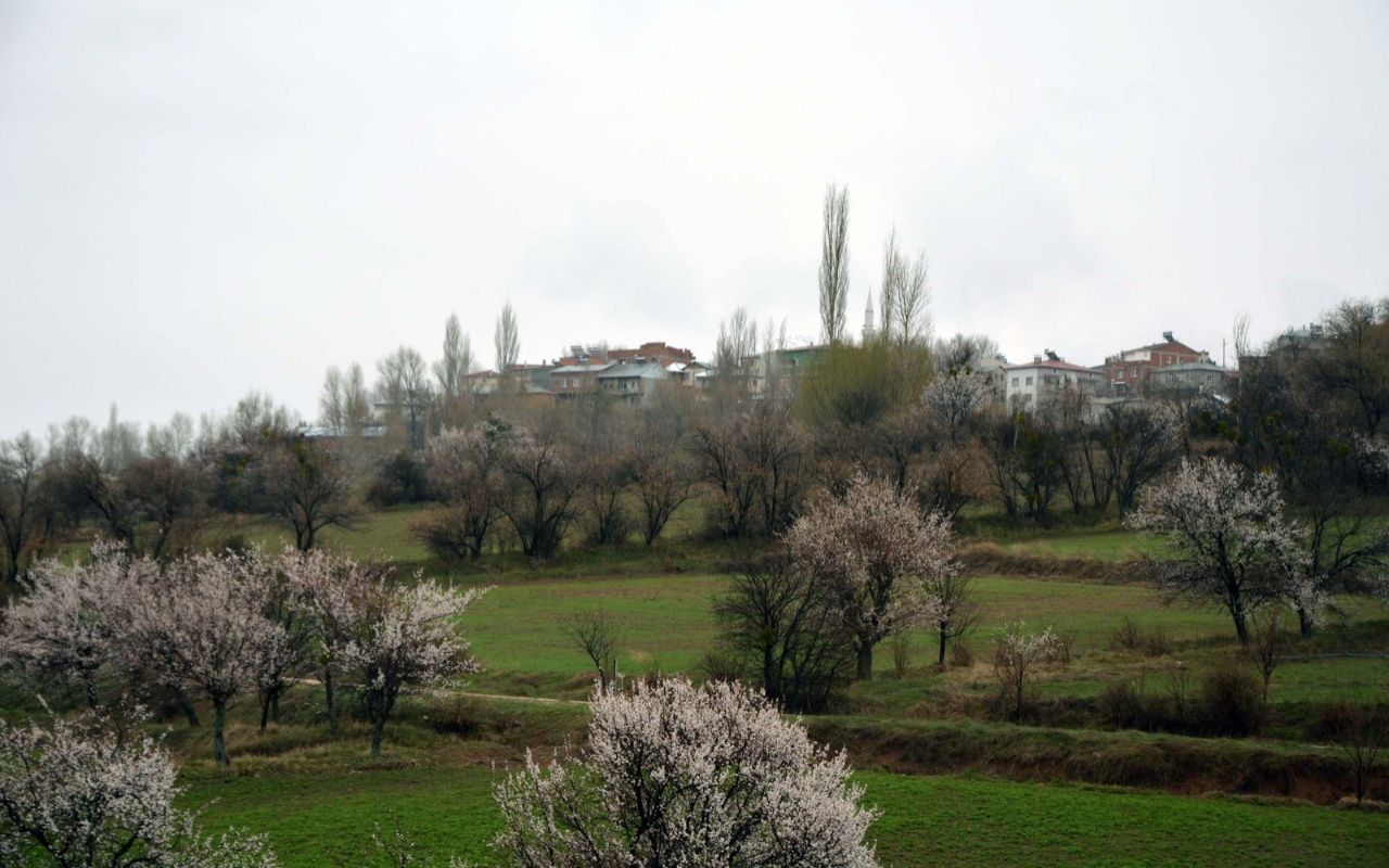 Sivas'ta 5 köyde koronavirüs karantinası