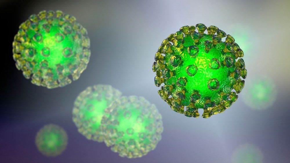 İlkbahar koronavirüsü durduracak mı? Mayıs ayı önemli