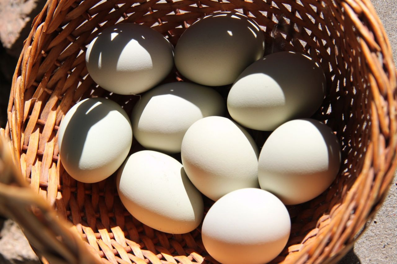 Kahvaltıda yumurta yemenin faydaları neler enerji veriyor!