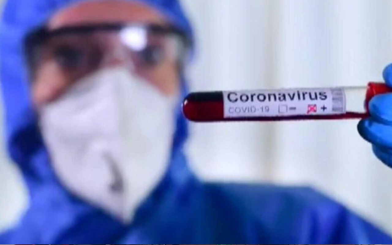 Koronavirüste plazma tedavisi nedir? Uzman isim canlı yayında  anlattı