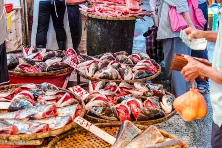 Dikenli vatoz, oklu kirpi, yumuşak kabuklu kaplumbağa! Bunları yemek lüks sayılıyormuş