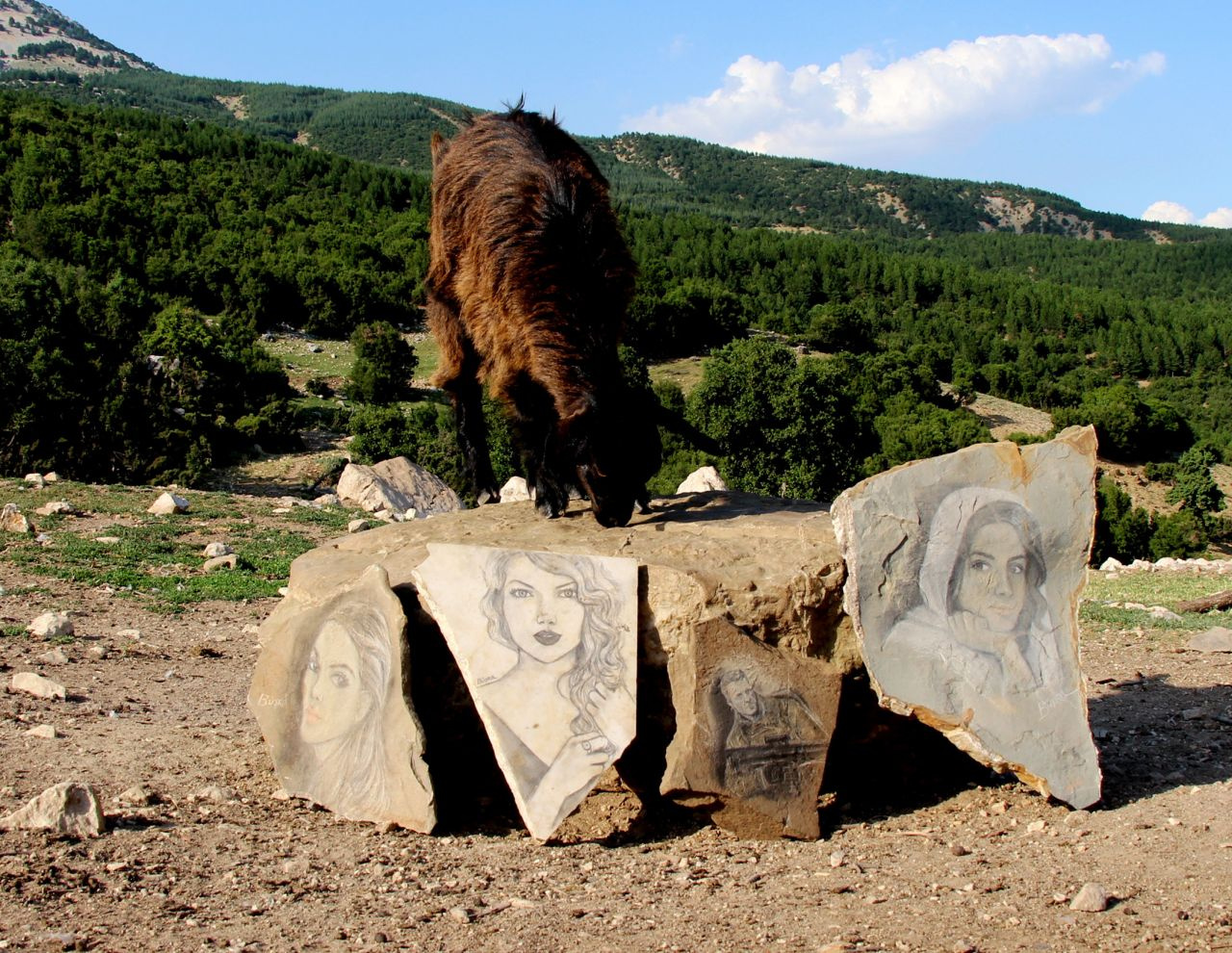 Burdur'da 'Çoban ressam' olarak tanınıyor doğaya mükemmel eserler katıyor